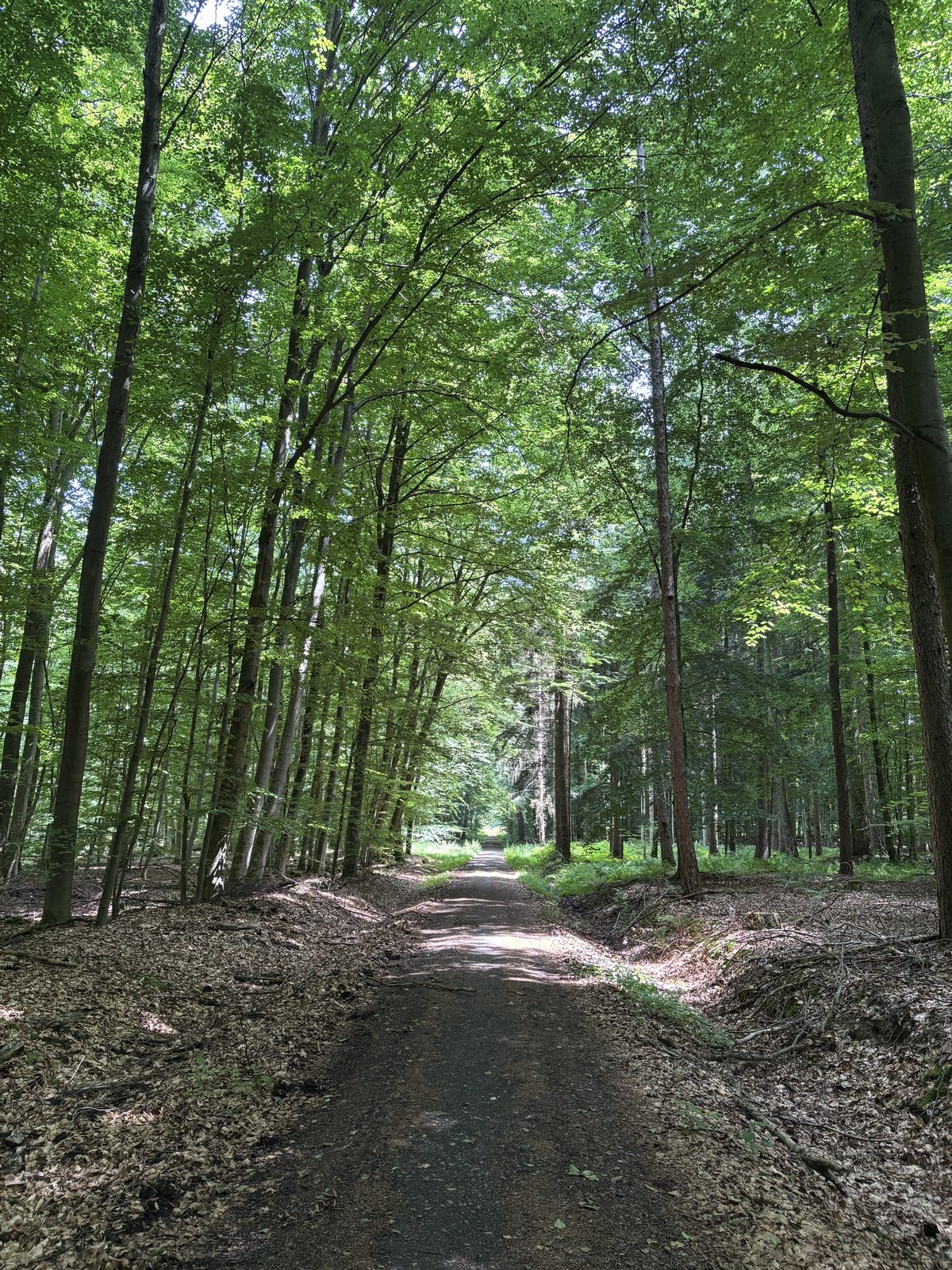 Natur als Impulsgeber