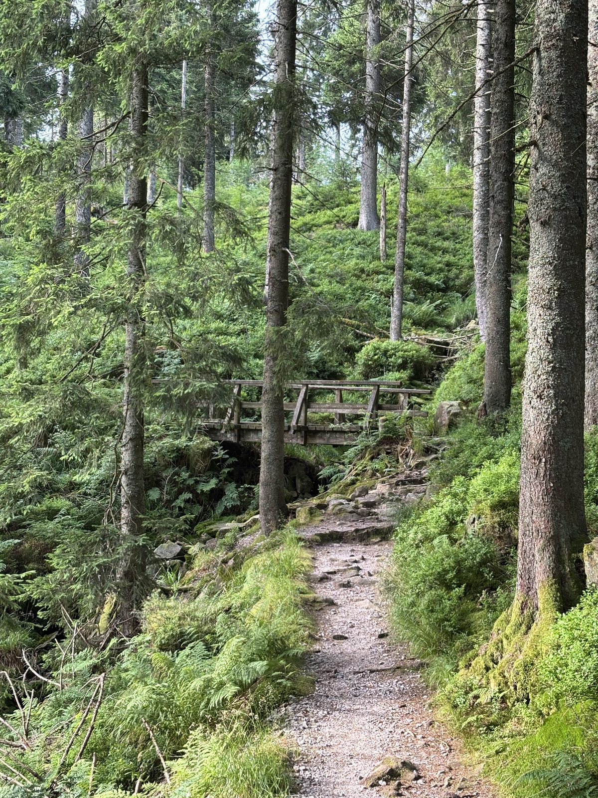 Wandern als Katalysator