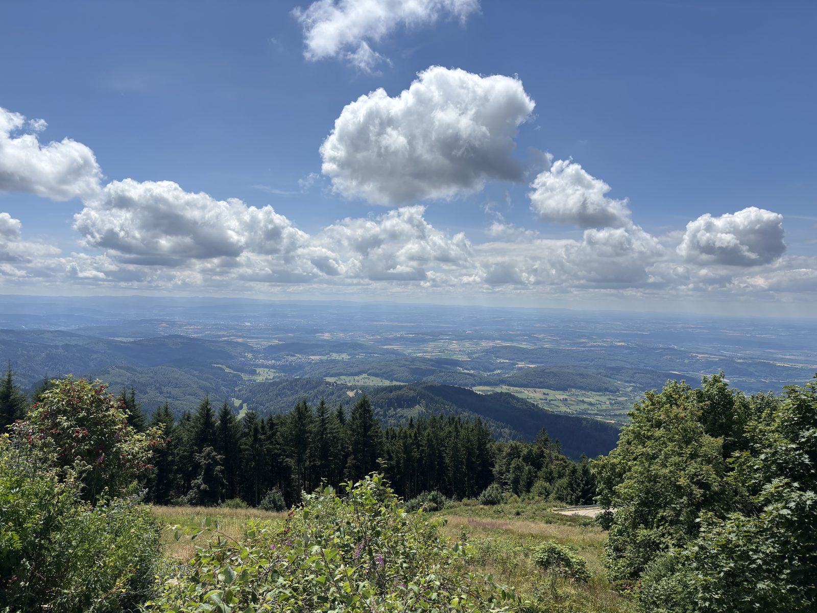 Lebensqualität